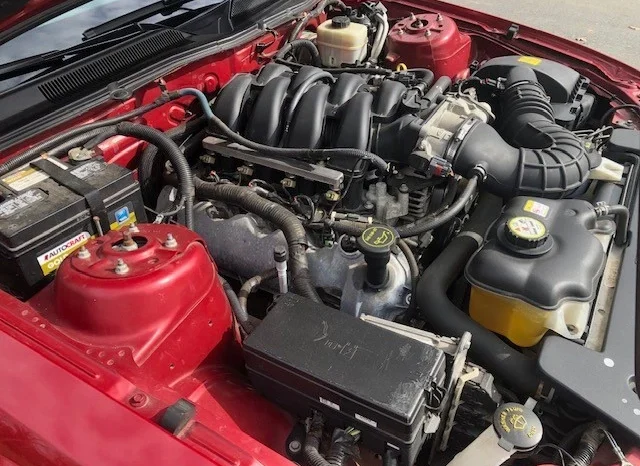 
								2008 Ford Mustang GT full									