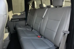 
										2019 Ford F-150 XLT Pickup 4D 6 12 ft full									